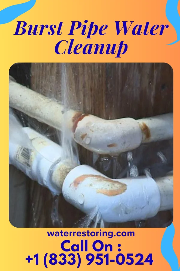Burst Pipe Water Cleanup in Spring Valley, IL