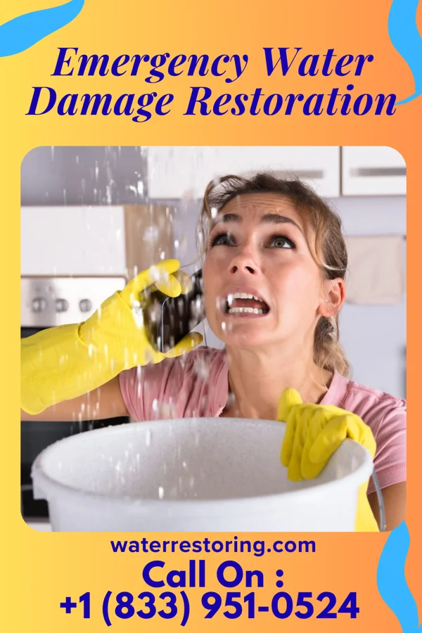 Emergency Water Damage Restoration in Spring Valley, IL