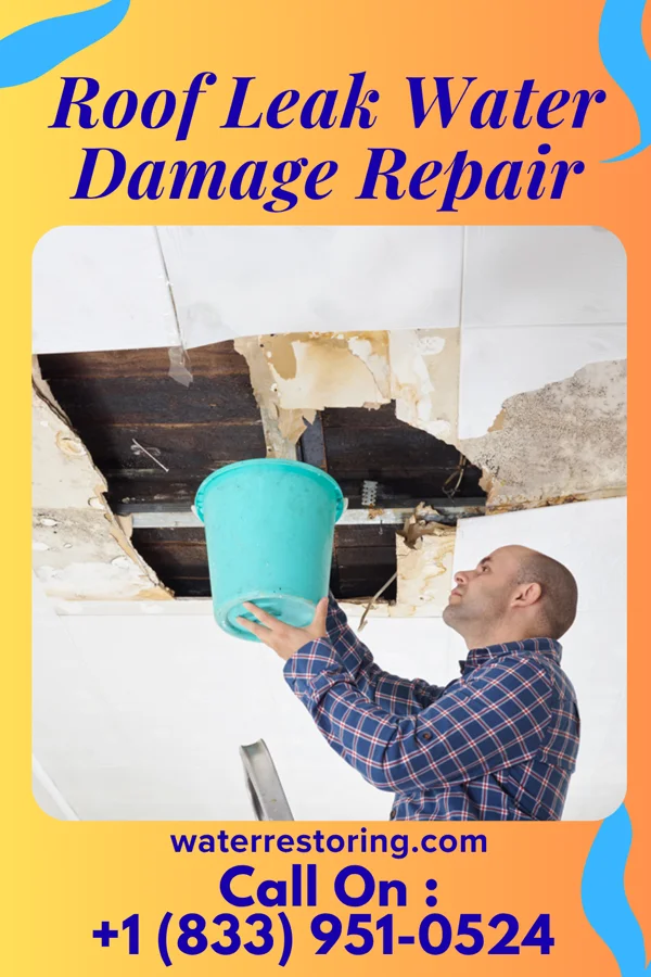 Roof Leak Water Damage Repair in Spring Valley, IL